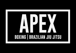 Apex logo